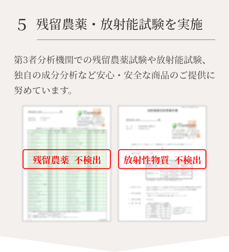 300円 最大56%OFFクーポン キャンドルブッシュ 2g×30p ティーバッグ ゴールデンキャンドル ハナセンナ 残留農薬検査済み 送料 北海道  沖縄 離島も無料配送可 森のこかげ ハーブティー